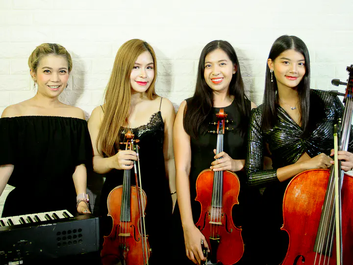 Wine And Rose String Quartet Band